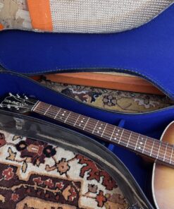 Vintage 1958 Hofner Senator Sunburst Electric Archtop Guitar Case 1950s