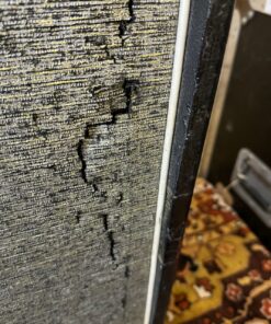 Vintage 1964 Selmer Truvoice Thunderbird Twin Thirty Amplifier Combo