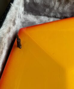 Vintage 1980s Simmons Red Yellow 7x Drums Pads Controllers Ronnie Lane Studio